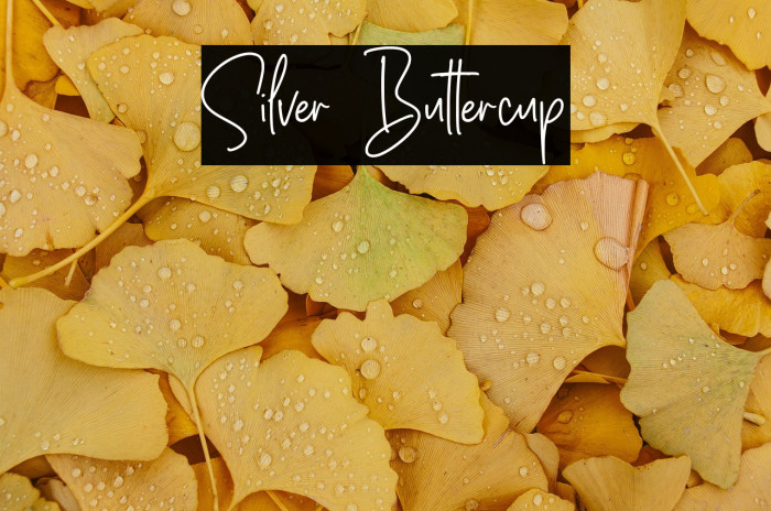 Silver Buttercup Example 1