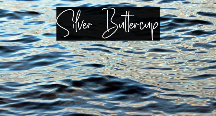 Silver Buttercup Example 2