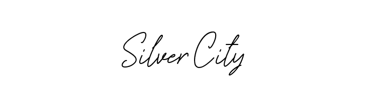 Silver City  Descarca Fonturi Gratis