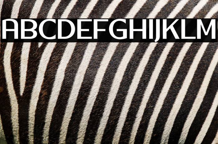 Silver Country Example 2