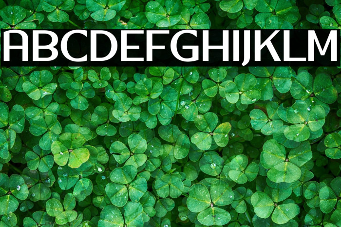 Silver Country Example 3