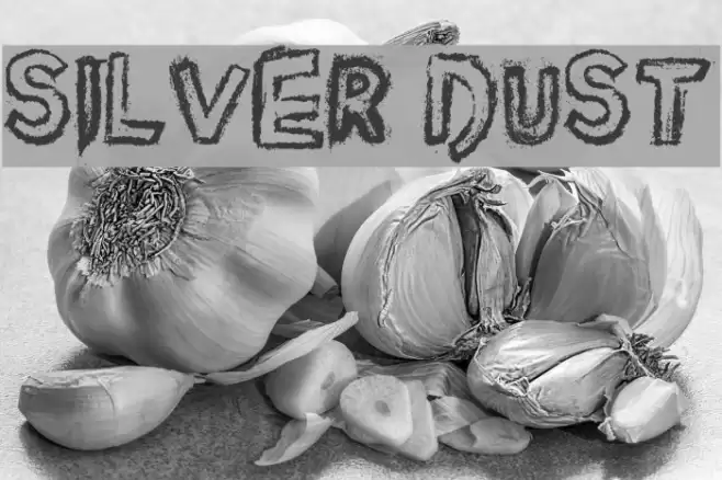 Silver Dust Font examples