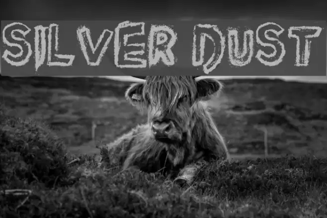 Silver Dust Font examples
