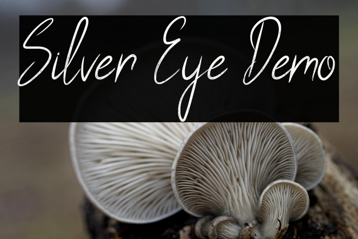 Silver Eye Demo Example 3