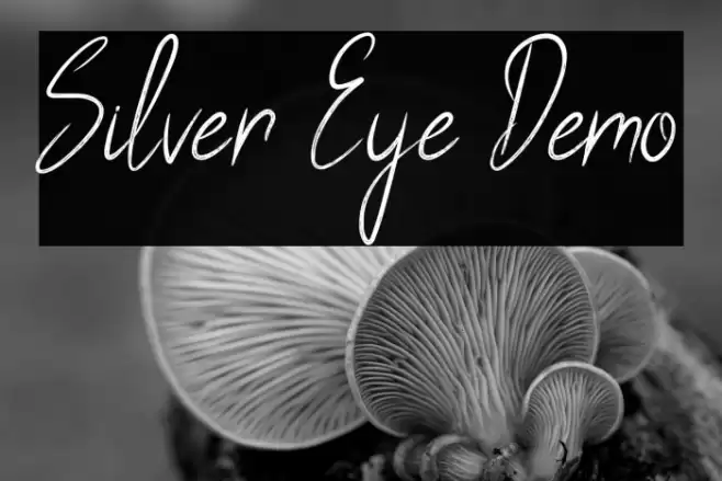Silver Eye Demo Font examples