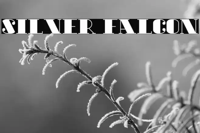 Silver Falcon Font examples