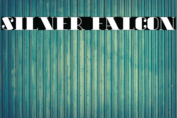 Silver Falcon Example 2