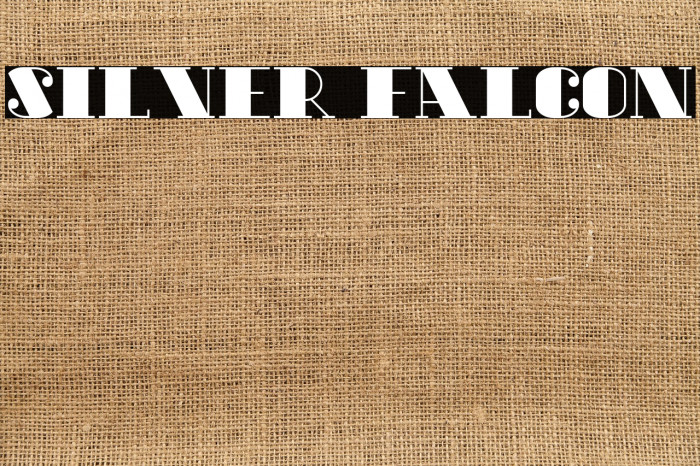 Silver Falcon Example 3