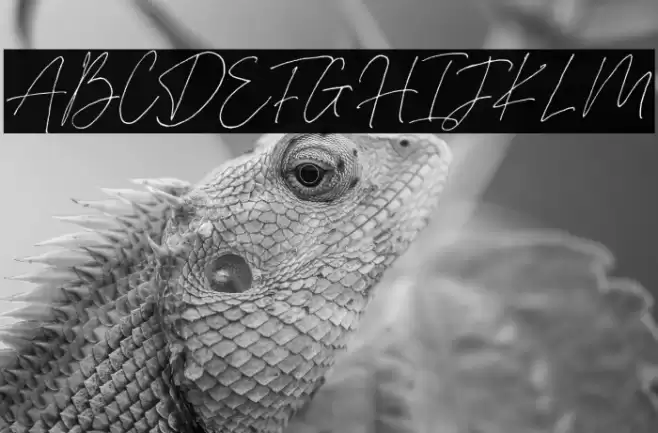 Silver Fields Font examples