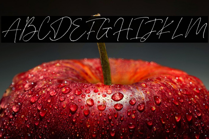 Silver Fields Caratteri examples