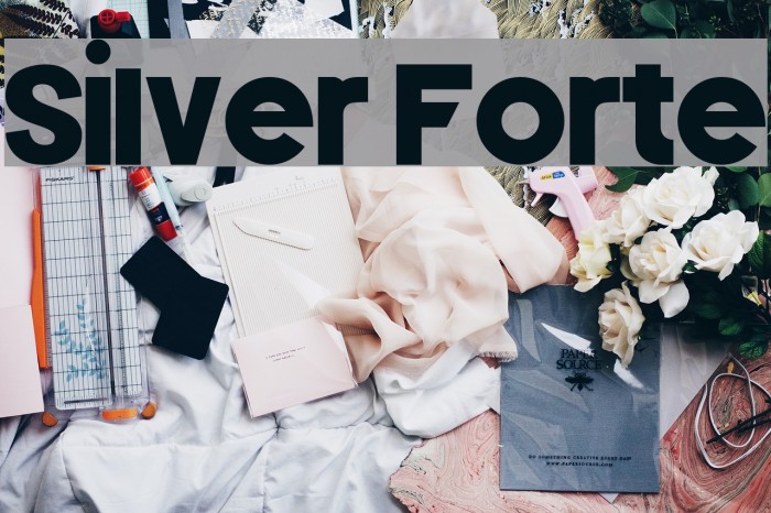 Silver Forte Font examples