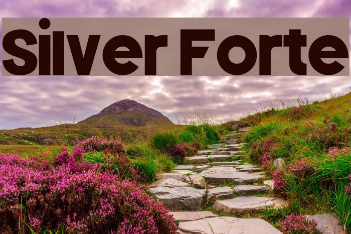 Silver Forte Font examples