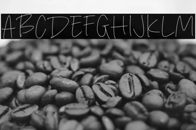 Silver Honey خط examples