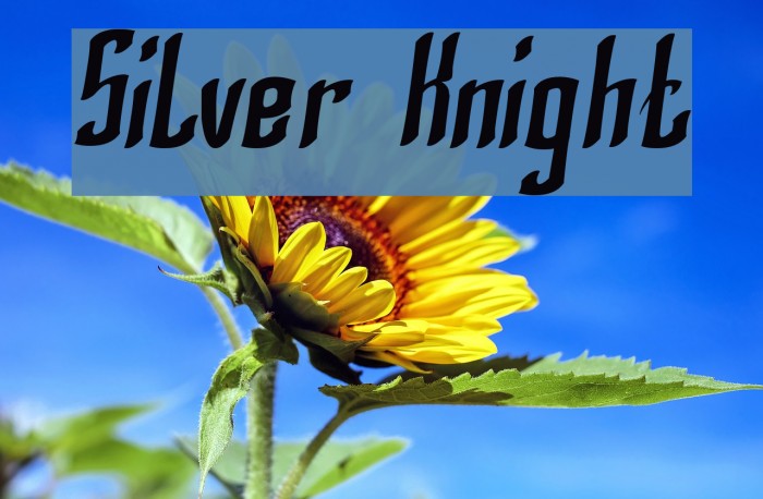 Silver Knight Font examples