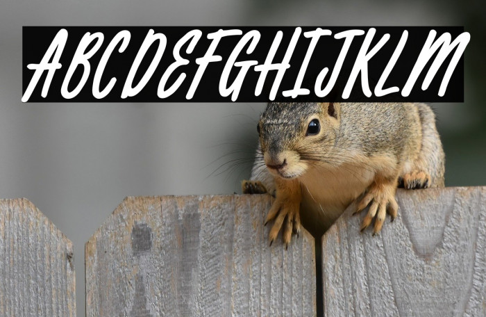 Silver Lining Example 1