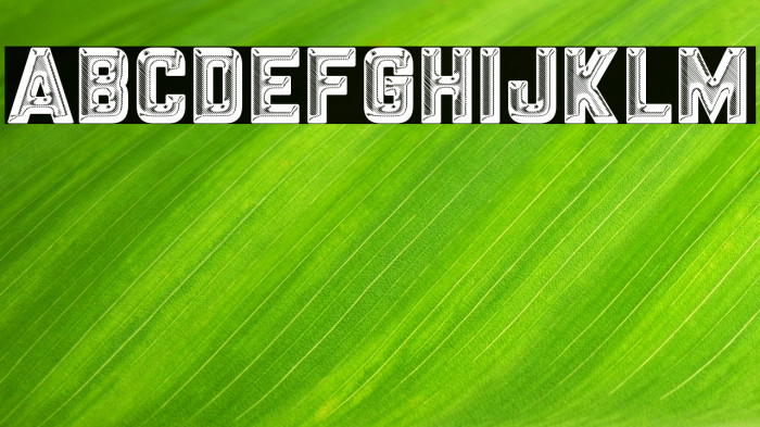 Silver Medal Example 3