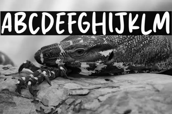 Silver Melody Font examples