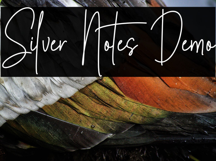 Silver Notes Demo Example 3