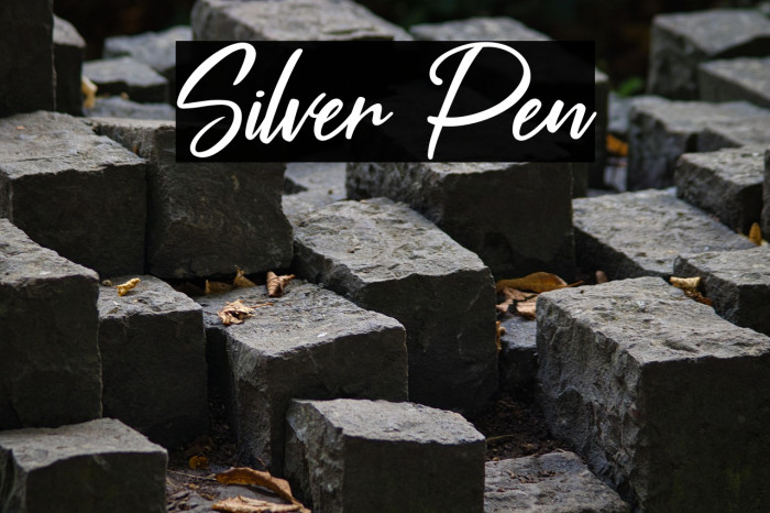 Silver Pen Caratteri examples
