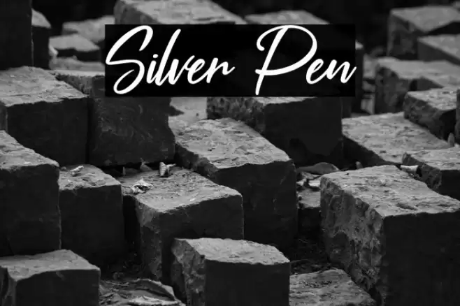 Silver Pen Font examples