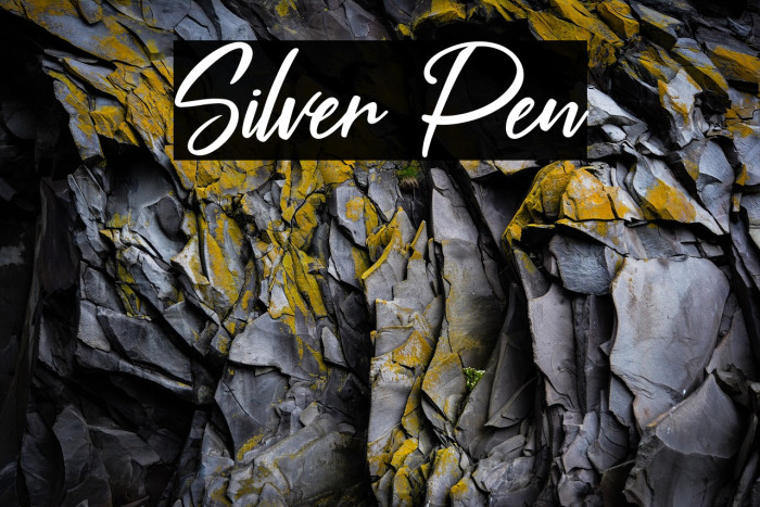 Silver Pen Caratteri examples