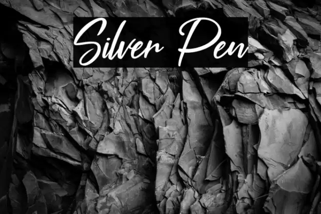 Silver Pen Font examples