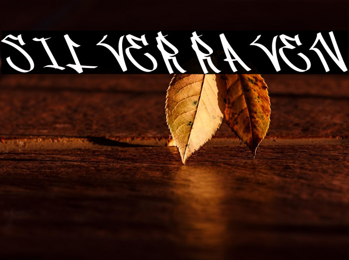 Silver Raven Example 1