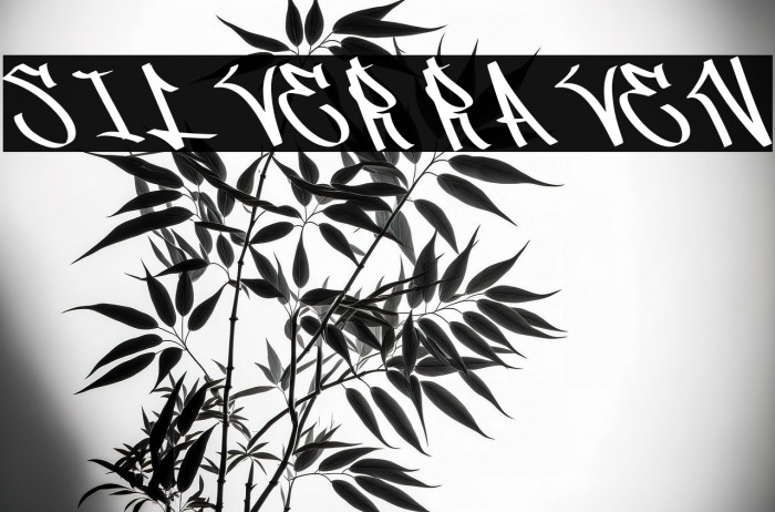 Silver Raven Example 2