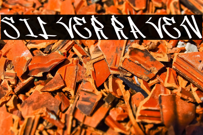 Silver Raven Example 3