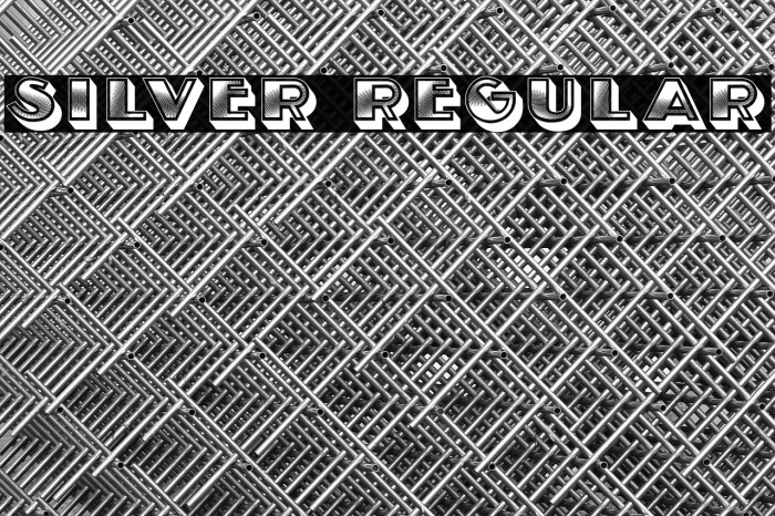 Silver Regular Example 1