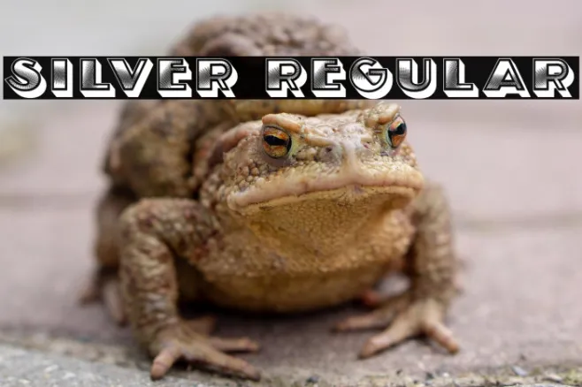 Silver Regular Example 2