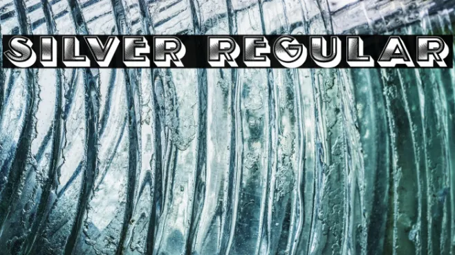 Silver Regular Example 3