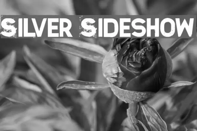 Silver Sideshow Font examples