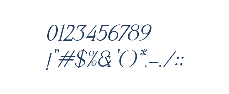 Silver Silk Italic Other Characters