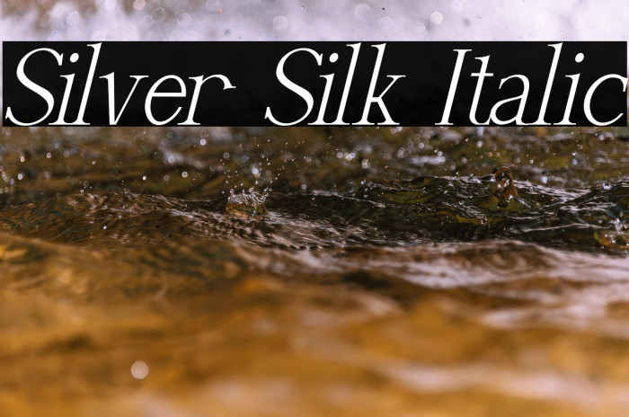 Silver Silk Italic Example 2