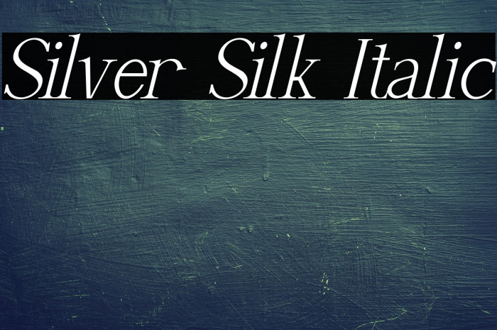 Silver Silk Italic Example 3