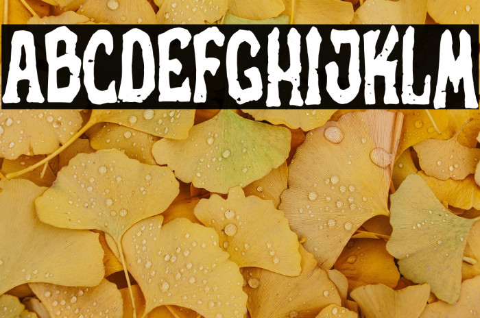 Silver World Example 2