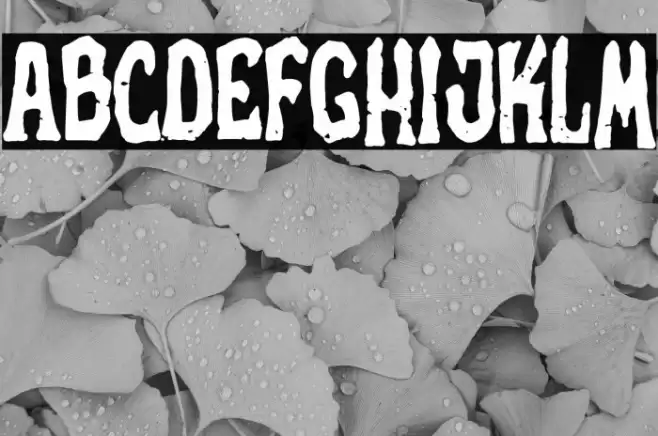 Silver World Font examples