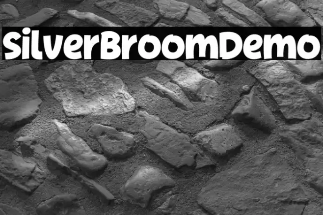 SilverBroomDemo خط examples