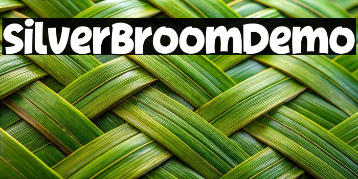 SilverBroomDemo Example 2