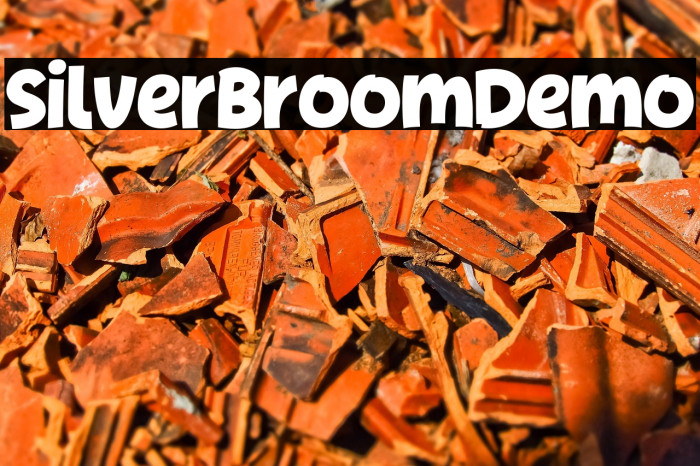 SilverBroomDemo Example 3