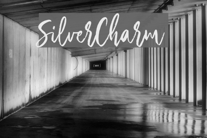 SilverCharm Font examples