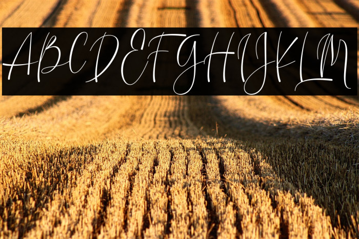 SilverLovely Example 2