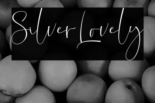 SilverLovely Font examples