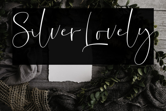 SilverLovely Example 2