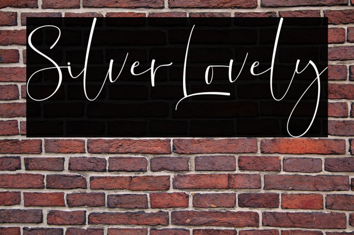 SilverLovely Example 3