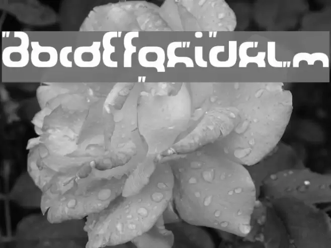 SilverStream Font examples