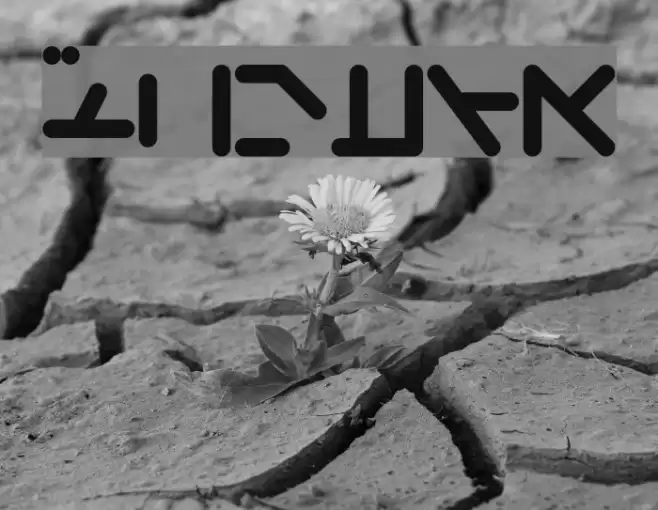 Silver Font examples