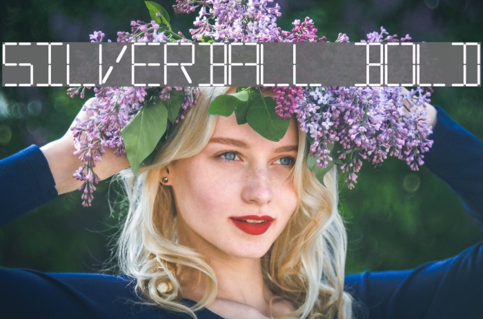 Silverball Bold Example 2