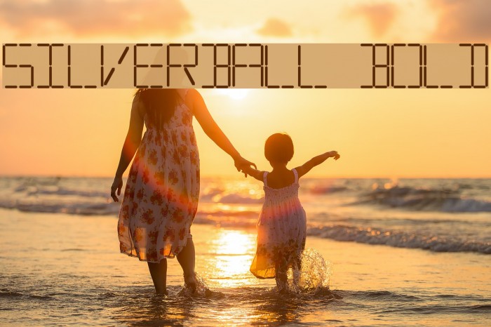 Silverball Bold Example 3